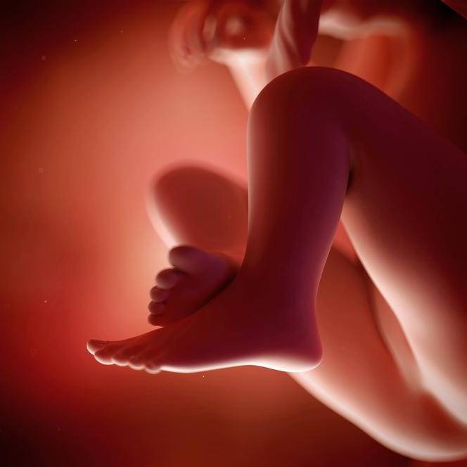 19 недель беременности - что происходит с мамой и малышом в животе